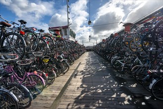 Many bicycles in bicycle rack