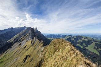 View from Mt Schafler in the Appenzell Alps to Mt Santis
