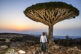 Yemenite man standing in front of a Socotra Dragon Tree or Dragon Blood Tree (Dracaena cinnabari)