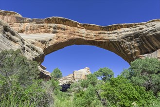 Sipapu Bridge