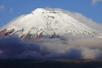 Snow-covered summit of Cotopaxi volcano rising from a cloud cover