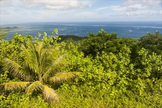 Overlooking the island of Pohnpei