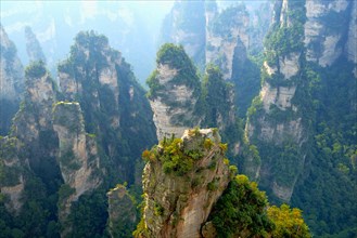 Avatar' mountains with vertical quartz sandstone rocks