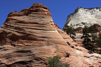Petrified dunes