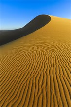 Dunes of the Namib Desert