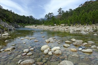 River Solenzara