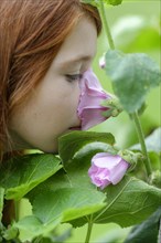 Girl smelling a Hollyhock (Alcea rosea)