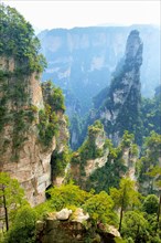 Avatar Mountains with vertical quartz-sandstone pillars