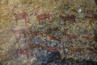 Ancient rock paintings at Qohaito