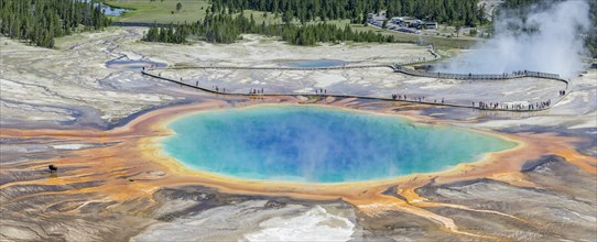 Sinter crust of the Grand Prismatic Spring