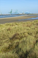 Dunes and Zeebrugge harbour behind