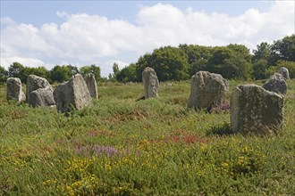 Carnac stones