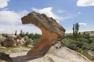 Mushroom-shaped sandstone rock Mantarkaya in Gulsehir