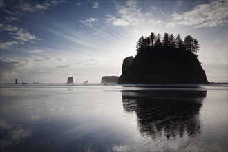 Sea stack on Second Beach in Olympic National Park