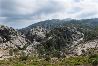 Mountain landscape with river