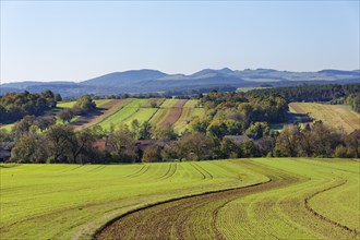 Landscape with fields