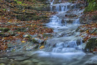 Waterfall in the forest in autumn
