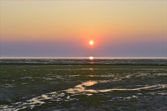 Dry fallen Wadden Sea at sunrise