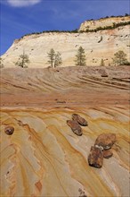 Plateau of colourful sandstone at the foot of Checkerboard Mesa