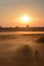 Sunrise in Recker Moor with ground fog