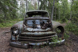 Junkyard in the forest