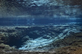 Ginnie Springs Cavern with fresh water spring in Santa Fe River