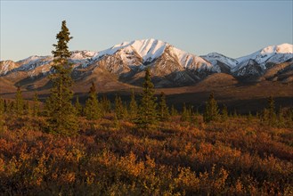 Autumnal tundra