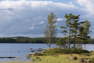 Lake Skarvsjo