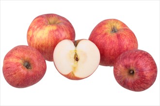 Red Gravenstein apple variety with cut apple