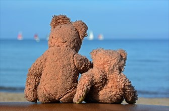 Two old teddy bears are looking at the Baltic Sea