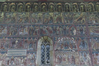 Wall frescos