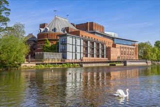 The Royal Shakespeare Theatre