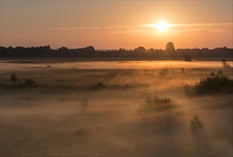 Sunrise in Recker Moor with ground fog