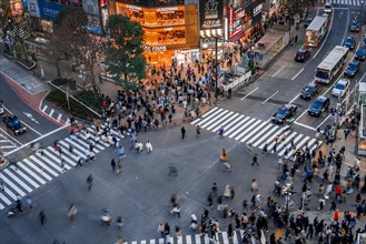 Shibuya Crossing from above