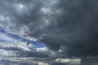 Rain clouds (Nimbostratus)