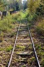 Narrow gauge railway tracks