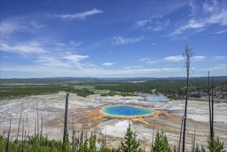 Grand Prismatic Spring