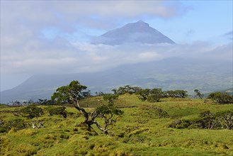 Pico mountain