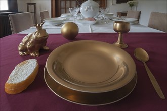 Frog next to a golden plate on the table