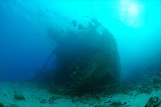 Shipwreck of Gianis D. Red Sea
