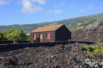 Typical house made of volcanic rocks