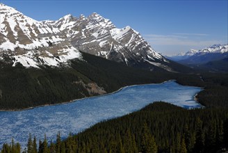 Glacial Peyto Lake in spring with a thin sheet of ice