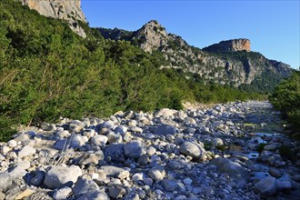 Almost dry river bed of the Riu Fiumineddu