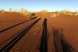 Photographers casting shadows on a sand dune