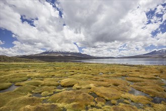 Lake Chungara and the Parinacota volcano