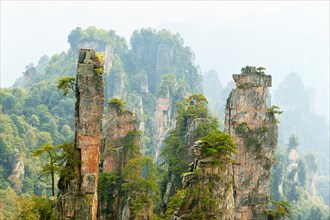 Tianzishan mountain with vertical rock columns of quartz sandstone