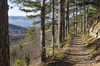 SaaleHorizontale panorama trail