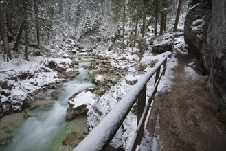 Winter in the Ramsauer Ache in the Zauberwald forest