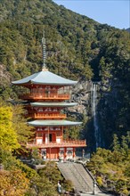 Nachi waterfall behind pagoda of Seigantoji Temple