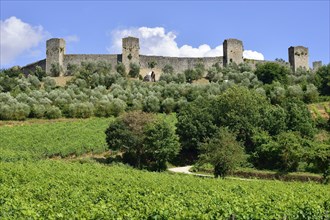 Ramparts of the medieval village of Monteriggioni